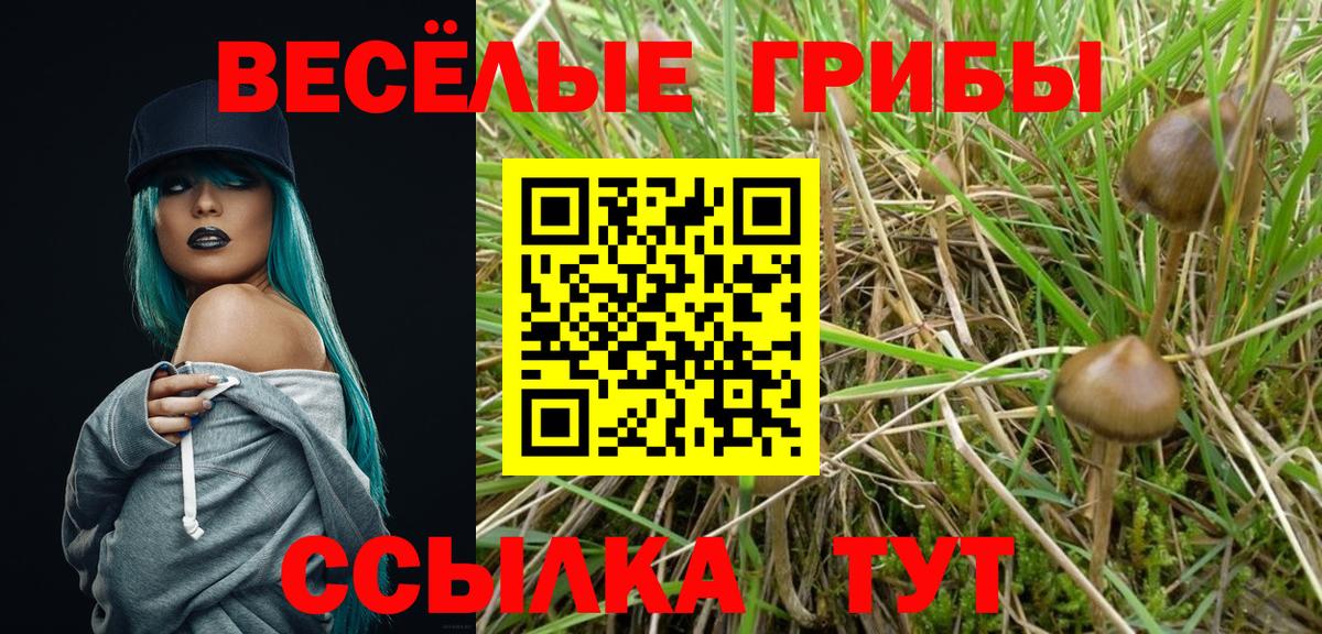 Алапаевск  Галлюциногенные грибы Magic Shrooms  Вход с VPN 