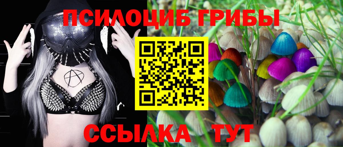 Галлюциногенные грибы прущие грибы Алапаевск